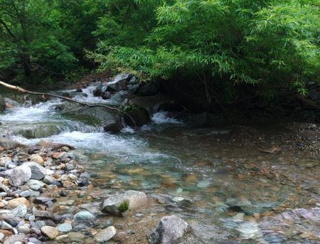 増水の谷でイワナ釣り